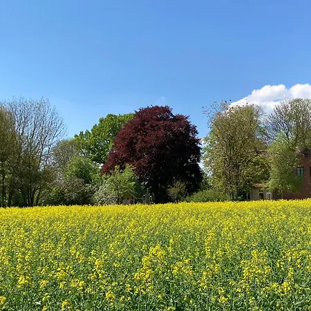 Дом отдыха Familiennest Am Mueritzsee Mit Kamin & Sauna Sietow Dorf