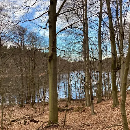 Holiday home Familiennest Am Mueritzsee Mit Kamin & Sauna
