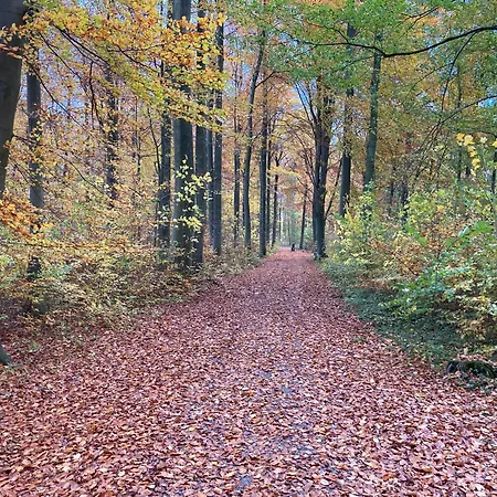 Familiennest Am Mueritzsee Mit Kamin & Sauna *