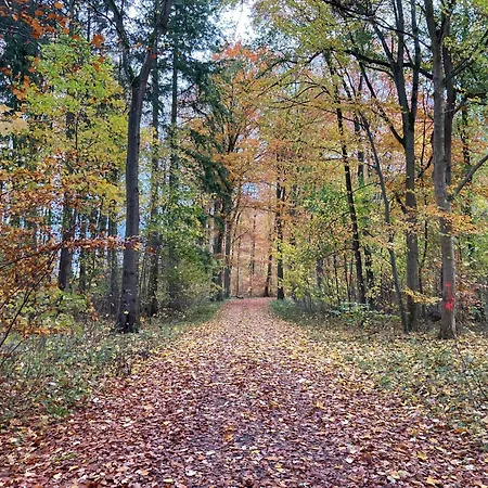 Familiennest Am Mueritzsee Mit Kamin & Sauna Prázdninový dům Sietow Dorf