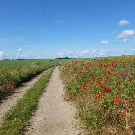 Familiennest Am Mueritzsee Mit Kamin & Sauna