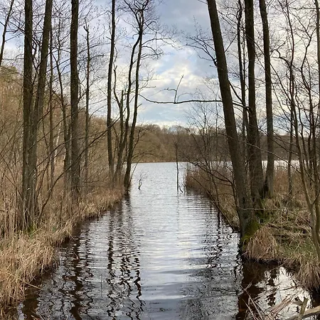 Familiennest Am Mueritzsee Mit Kamin & Sauna Sietow Dorf