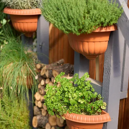 Familiennest Am Mueritzsee Mit Kamin & Sauna * Sietow Dorf