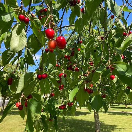 Дом отдыха Familiennest Am Mueritzsee Mit Kamin & Sauna Sietow Dorf
