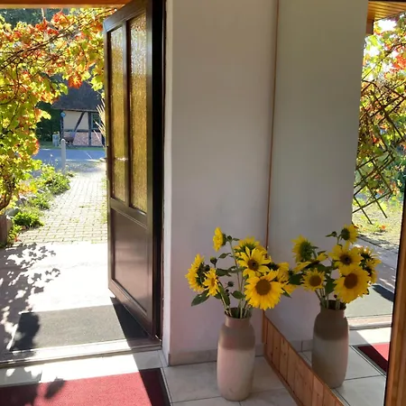 Holiday home Familiennest Am Mueritzsee Mit Kamin & Sauna