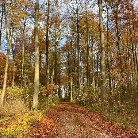 Дом отдыха Familiennest Am Mueritzsee Mit Kamin & Sauna Sietow Dorf
