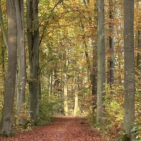 Prázdninový dům Familiennest Am Mueritzsee Mit Kamin & Sauna