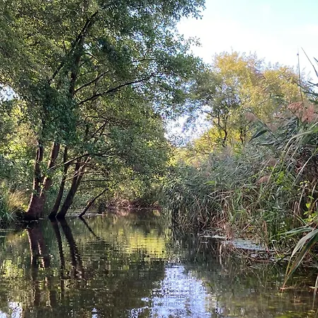 Prázdninový dům Familiennest Am Mueritzsee Mit Kamin & Sauna Sietow Dorf