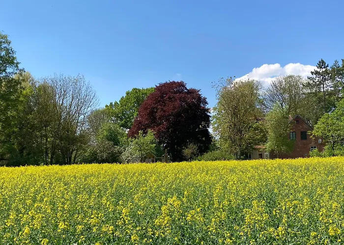 Сasa de vacaciones Familiennest Am Müritzsee Mit Kamin&sauna Sietow Dorf