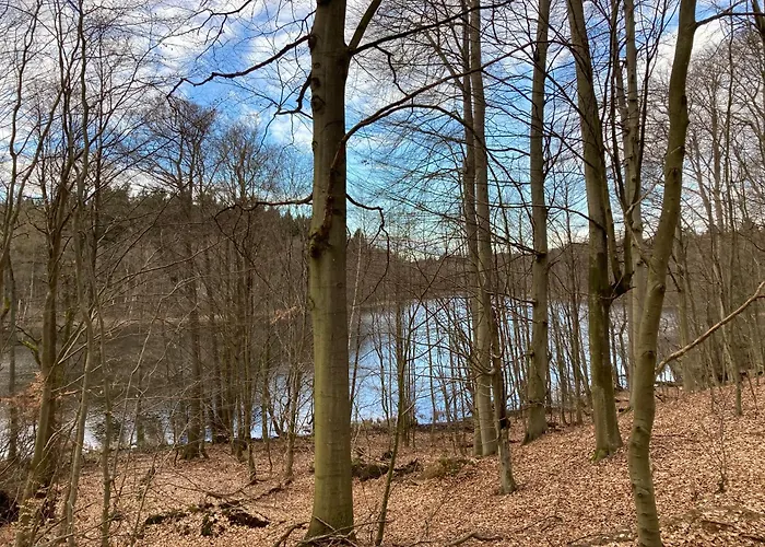Сasa de vacaciones Familiennest Am Müritzsee Mit Kamin&sauna