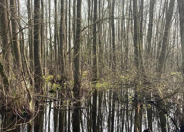 Сasa de vacaciones Familiennest Am Müritzsee Mit Kamin&sauna *