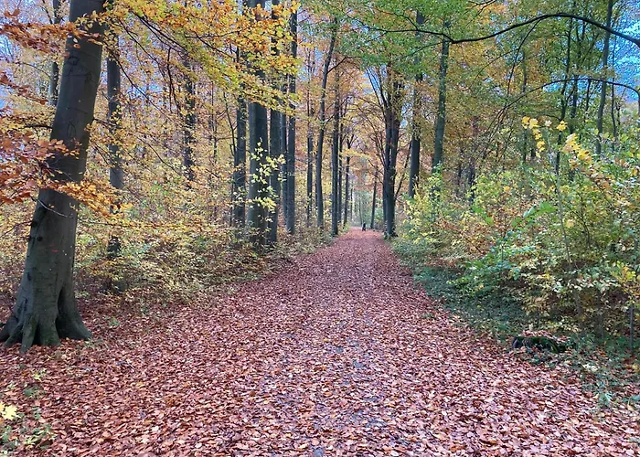 Familiennest Am Müritzsee Mit Kamin&sauna *