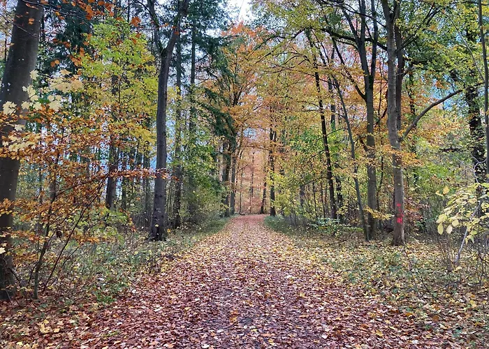 Familiennest Am Müritzsee Mit Kamin&sauna Сasa de vacaciones Sietow Dorf