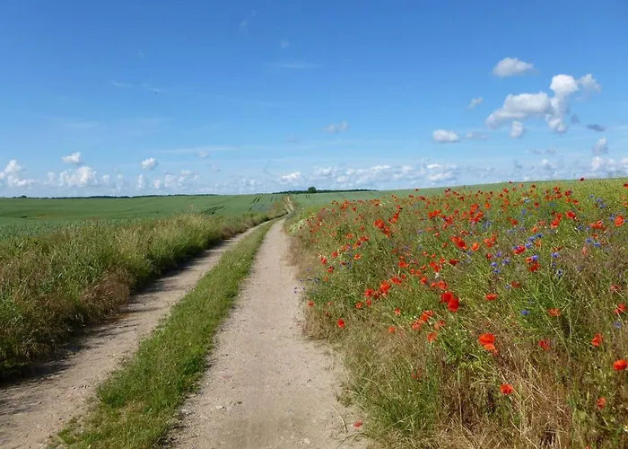 Familiennest Am Müritzsee Mit Kamin&sauna
