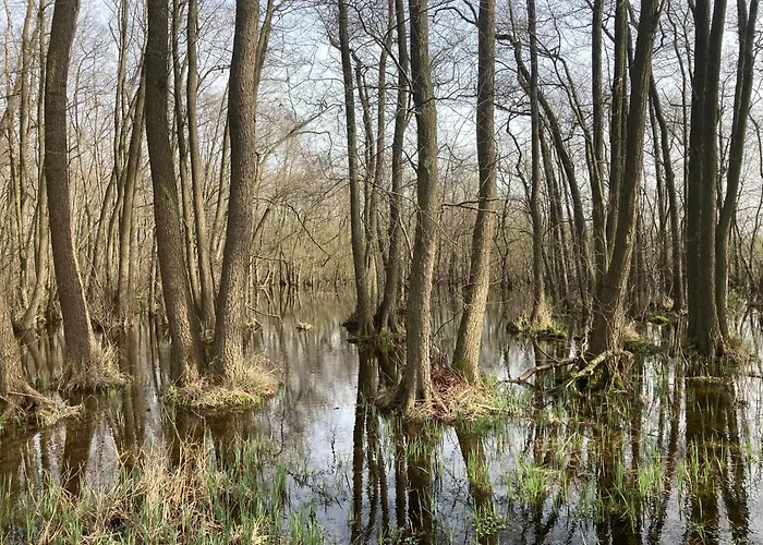Familiennest Am Müritzsee Mit Kamin&sauna Сasa de vacaciones