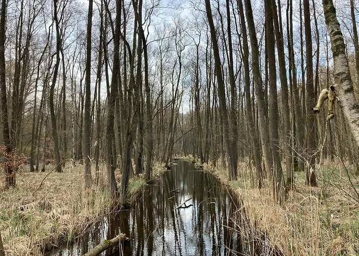 Familiennest Am Müritzsee Mit Kamin&sauna Сasa de vacaciones *