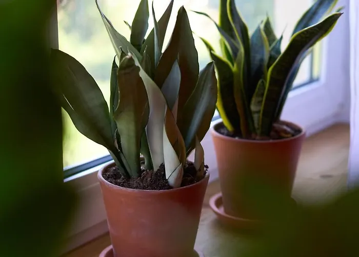 Familiennest Am Müritzsee Mit Kamin&sauna Сasa de vacaciones