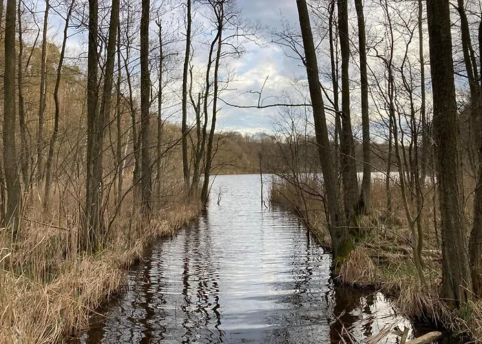 Familiennest Am Müritzsee Mit Kamin&sauna Sietow Dorf