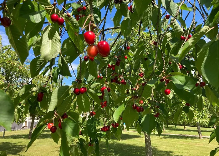 Сasa de vacaciones Familiennest Am Müritzsee Mit Kamin&sauna Sietow Dorf