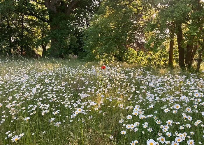 Сasa de vacaciones Familiennest Am Müritzsee Mit Kamin&sauna Sietow Dorf
