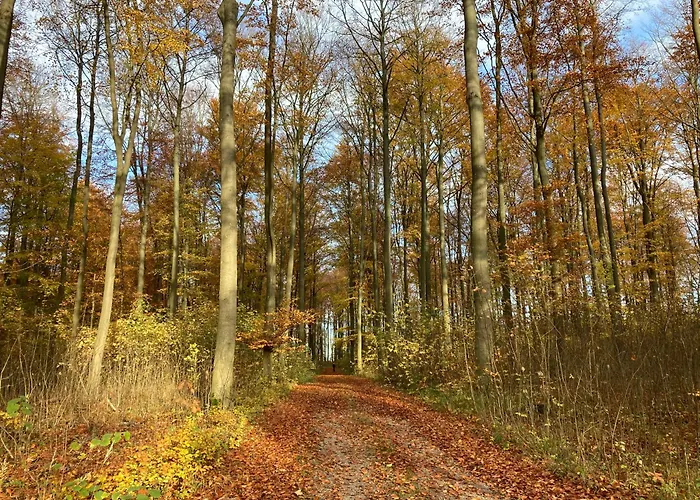 Сasa de vacaciones Familiennest Am Müritzsee Mit Kamin&sauna Sietow Dorf