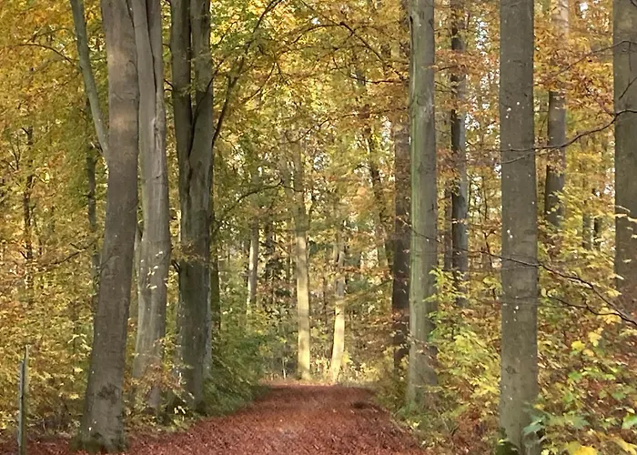 Сasa de vacaciones Familiennest Am Müritzsee Mit Kamin&sauna