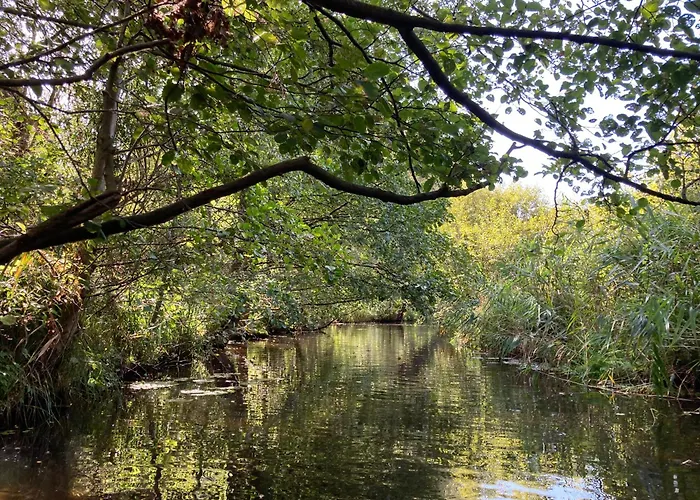 Familiennest Am Müritzsee Mit Kamin&sauna Sietow Dorf