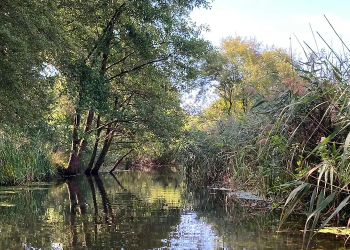Сasa de vacaciones Familiennest Am Müritzsee Mit Kamin&sauna Sietow Dorf